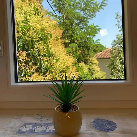 Apartment Salvetti *