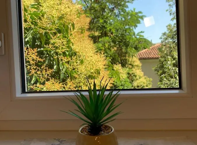 Apartamento Salvetti *