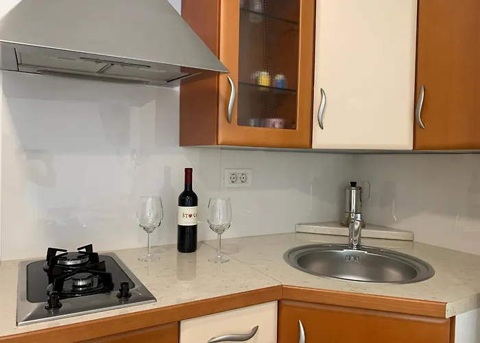Apartamento Salvetti Piran